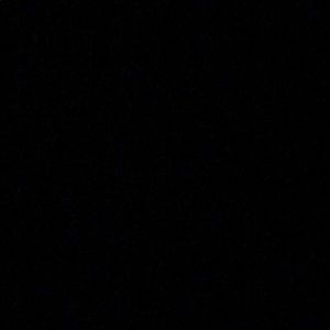 Meet your Posher, Pinky